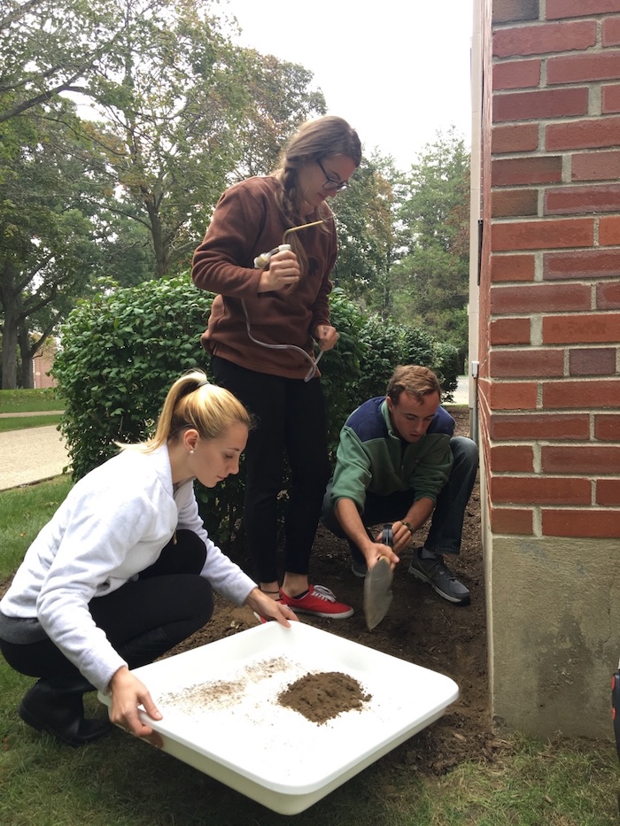 students collecting brachypoenra