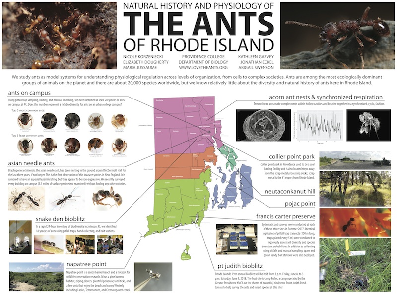 Ants of Rhode Island