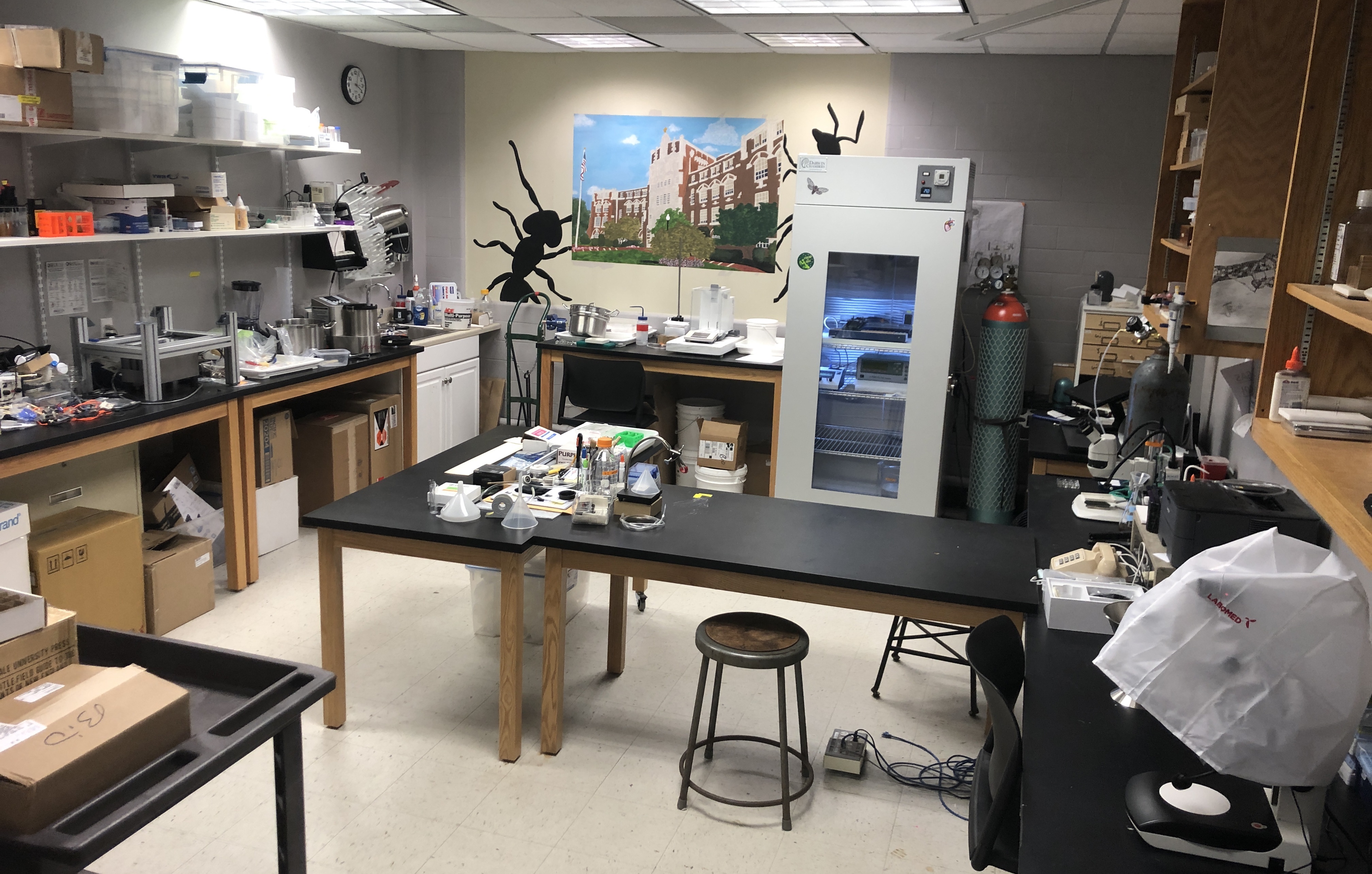 Waters Lab in the Science Complex RM LL79, lab benches and equipment