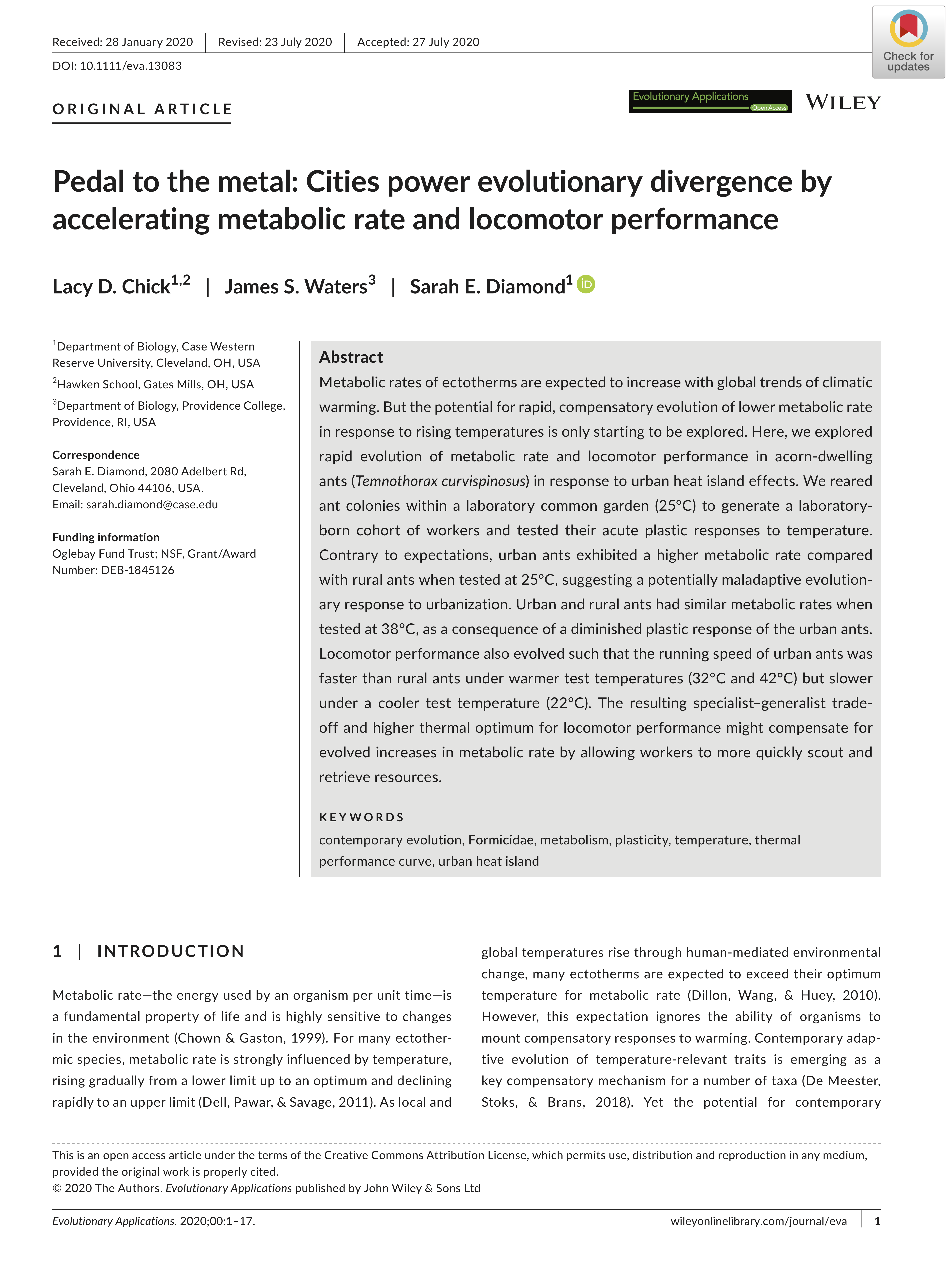 Petal to the Metal: Cities power evolutionary divergence