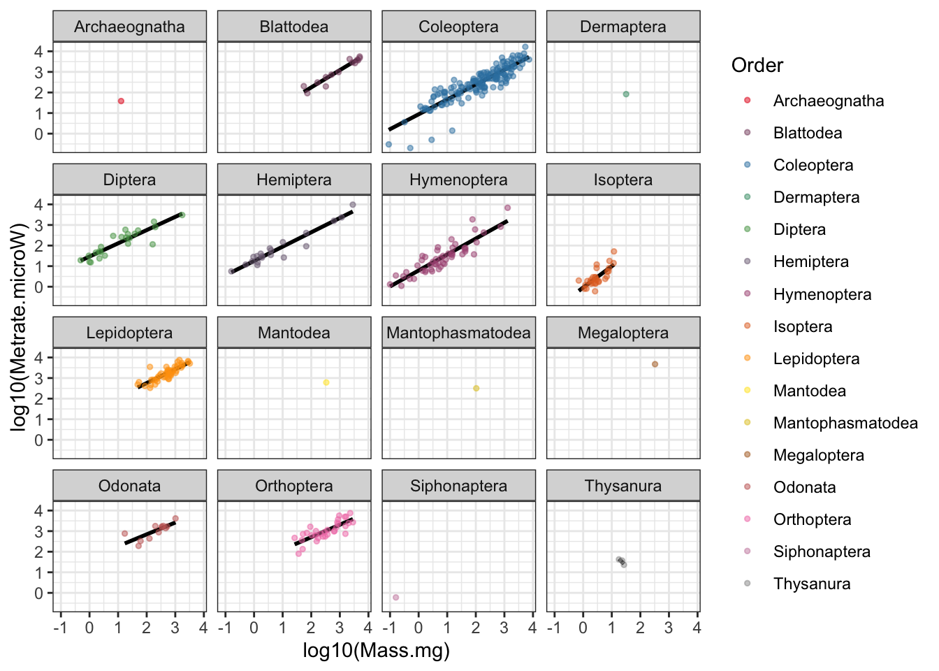 Insect metabolic allometry faceted by Order