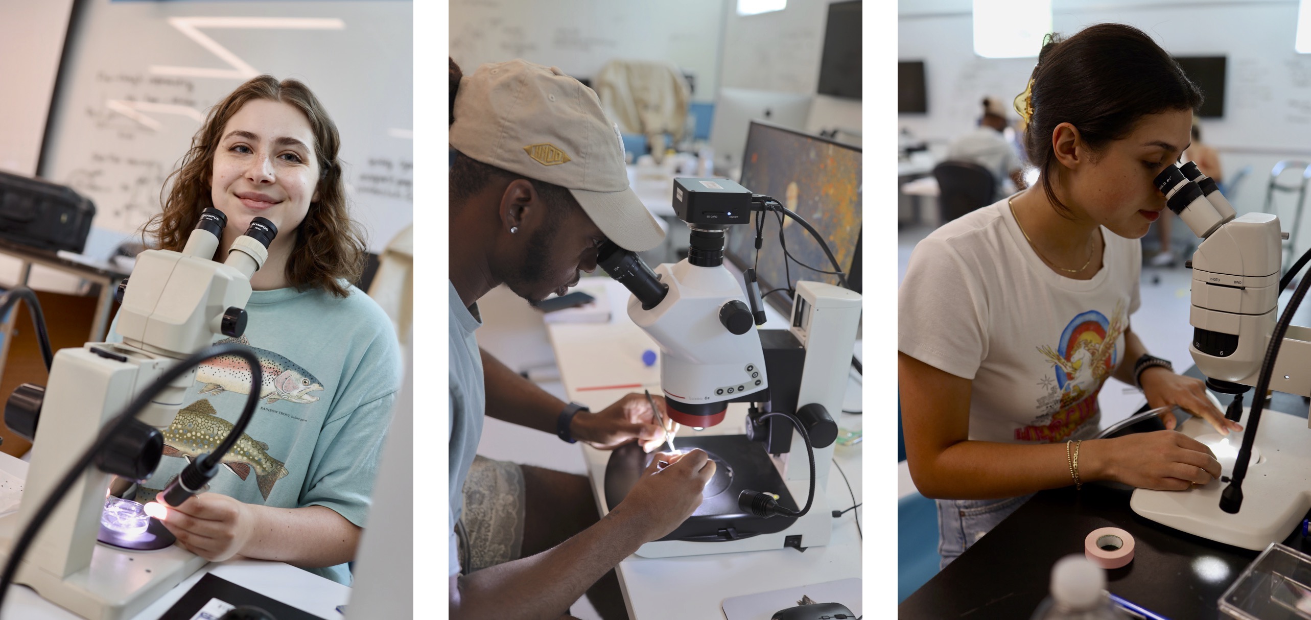 Photos of students dissecting insect brains