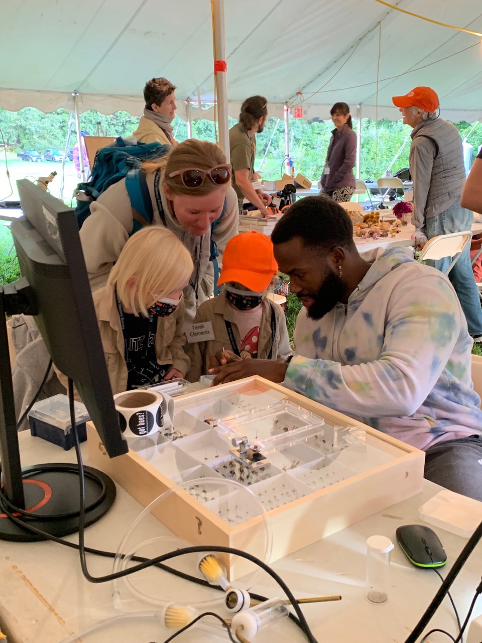 Photo of Princely looking at insects at the bioblitz