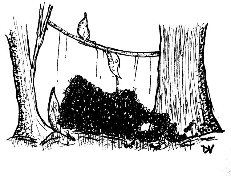 Shelter as a right, not a privilege